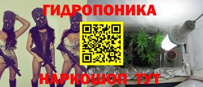 2c-b Гатчина