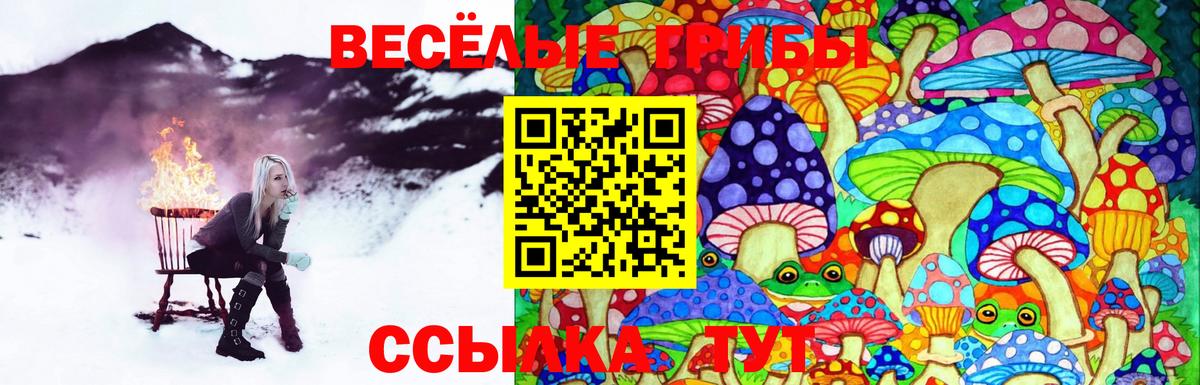 Псилоцибиновые грибы Psilocybine cubensis Гусь-Хрустальный