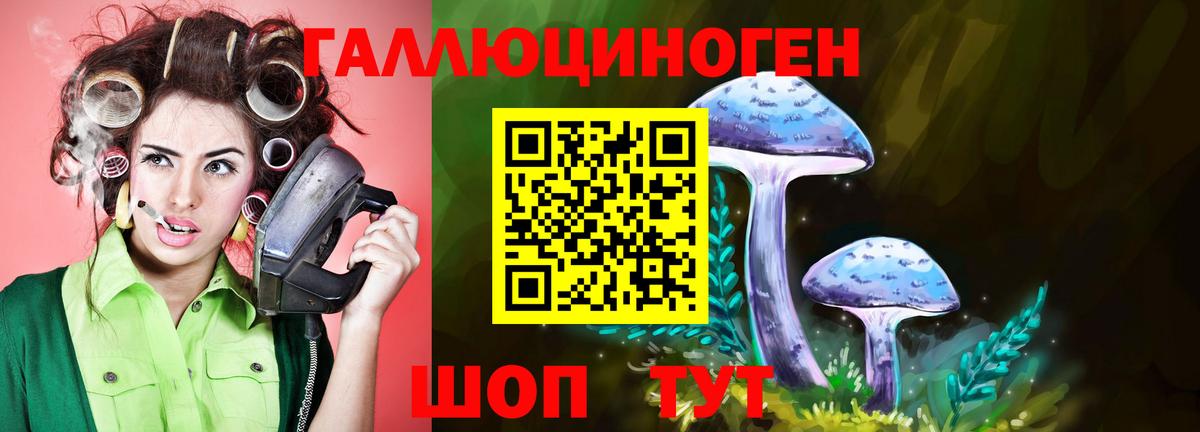 Псилоцибиновые грибы GOLDEN TEACHER  Галлюциногенные грибы GOLDEN TEACHER  Вход с VPN  Гусь-Хрустальный 